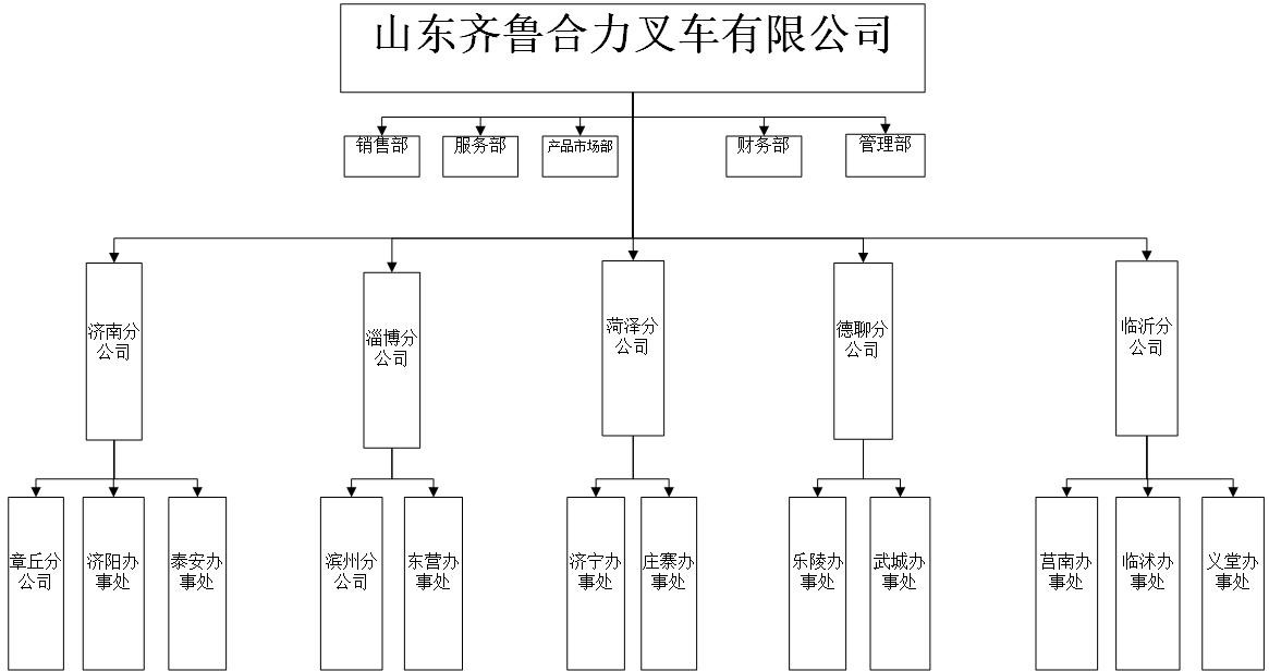 齐鲁合力组织机构图.jpg